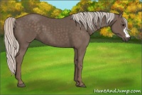 Horse Color:Silver Black 