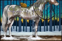 Horse Color:Plaid  White Spotted Silver Brown Onyx Rabicano 
