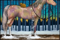 Horse Color:Nacre Silver Bay Dun Sabino 