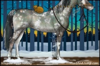 Horse Color:Plaid  White Spotted Brown Onyx Rabicano 