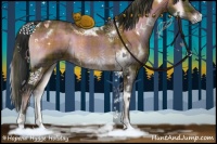 Horse Color:Plaid  White Spotted Brown Onyx 