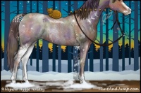 Horse Color:Nacre Liver Red Dun Sabino Rabicano