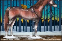 Horse Color:Plaid Liver Red Onyx Sabino Rabicano