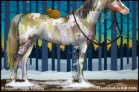 Horse Color:Nacre White Spotted Brown Onyx Rabicano 