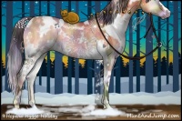 Horse Color:Nacre White Spotted Bay Onyx Rabicano 
