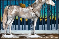 Horse Color:White Spotted Liver Red Dun Splash 