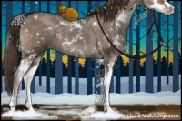 Horse Color:Liver Red Dun Sabino 