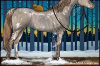 Horse Color:White Spotted Liver Red Dun 