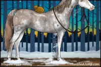 Horse Color:Liver Red Dun Ice Sabino Splash 