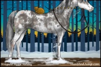 Horse Color:White Spotted Grullo Splash