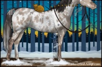Horse Color:White Spotted Liver Red Dun Appaloosa