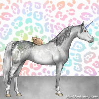 Horse Color:White Spotted Silver Black Chinchilla 