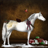 Horse Color:White Spotted Silver Smoky Grullo Chinchilla Onyx Sabino Brindle