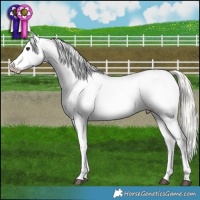 Horse Color:Liver Red Dun Mushroom Near Leopard 