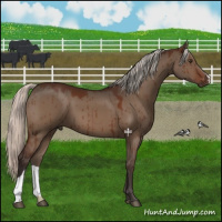 Horse Color:Silver Brown Dun Brindle 