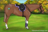 Horse Color:Chestnut Tobiano 