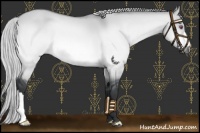 Horse Color:Silver Bay Chinchilla Dun 