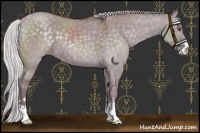 Horse Color:Chocolate Silver Grullo Chinchilla Sabino 