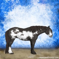 Horse Color:Liver Chestnut Frame 
