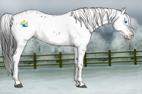 Horse Color:Black Frame