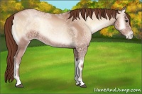 Horse Color:Bay Ice Roan Pearl Onyx 