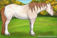 Horse Color:Gold Champagne Ice Onyx