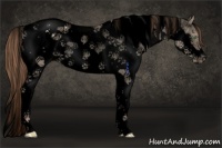 Horse Color:Void Gold Champagne Dun Splash Tobiano Frame Varnish Rabicano 