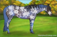 Horse Color:Brown Ice 