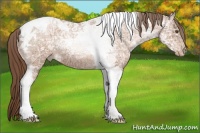 Horse Color:Brown Ice Pearl Tobiano 