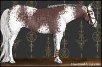 Horse Color:White Spotted Chocolate Silver Black Chinchilla Rabicano