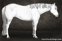Horse Color:Liver Chestnut Frame 