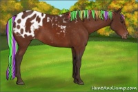 Horse Color:Painted Silver Brown Appaloosa
