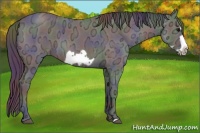 Horse Color:Nacre Blue Ice Roan Frame 