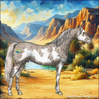 Horse Color:Silver Classic Champagne Ice Roan Splash Frame 