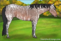 Horse Color:Brown Ice 