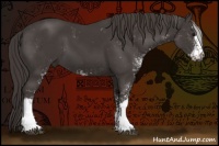 Horse Color:Smoky Black Sabino 