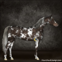 Horse Color:White Spotted Liver Chestnut Ice Mushroom 