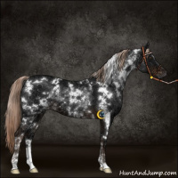 Horse Color:White Spotted Liver Chestnut Ice 