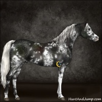 Horse Color:White Spotted Liver Chestnut Ice Mushroom 