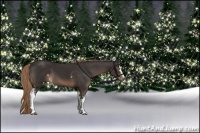 Horse Color:White Spotted Liver Chestnut Sabino