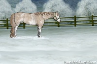 Horse Color:White Spotted Liver Red Dun Rabicano 