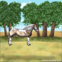 Horse Color:Liver Red Onyx Ice Sabino Tobiano 