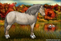 Horse Color:Chocolate Palomino Roan Dun Rabicano