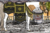 Horse Color:Palomino Tobiano 