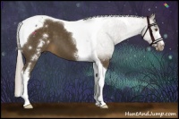 Horse Color:White Spotted Chocolate Palomino Tobiano 