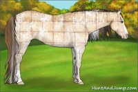 Horse Color:Plaid  White Spotted Sable Cream Champagne Ice Onyx  and Plaid  White Spotted Sable Cream Champagne Ice Dun Sabino 