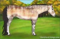 Horse Color:Plaid  Buckskin Ice Onyx Sabino 