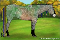 Horse Color:Painted Bay Ice Splash Rabicano 