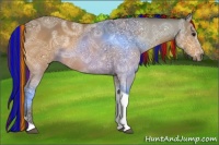 Horse Color:Painted Buckskin Ice Tobiano Rabicano 