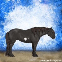 Horse Color:Liver Chestnut Frame 